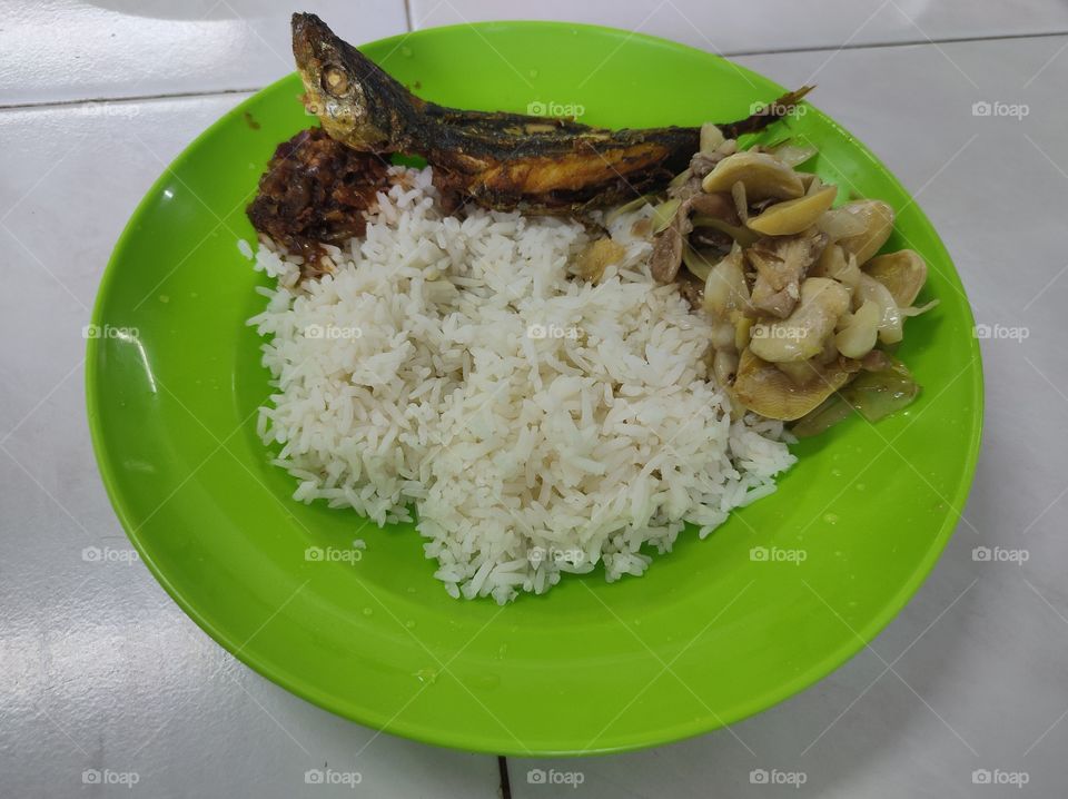 rice mixed with fish and vegetables