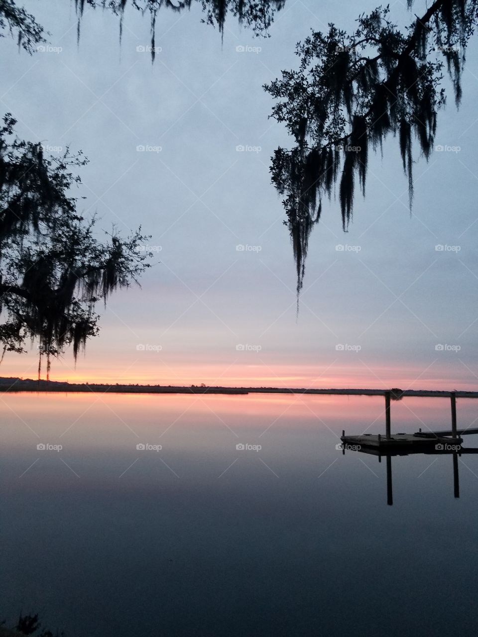 sunrise in Savannah