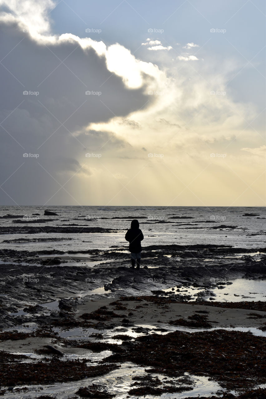 a walk on the beach on low tide