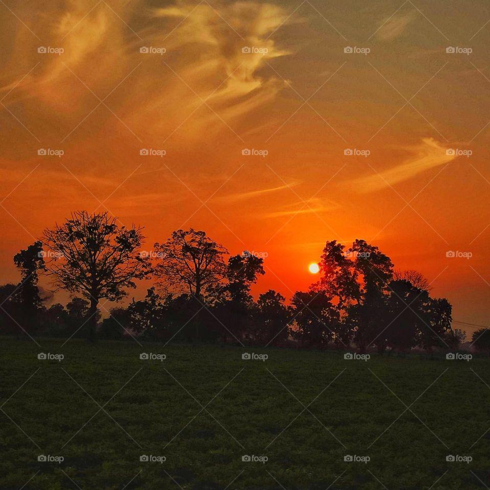 My evening visitors, if they cannot see the clock, should find the time in my face
Prayer is the key of the morning and the bolt of the evening.