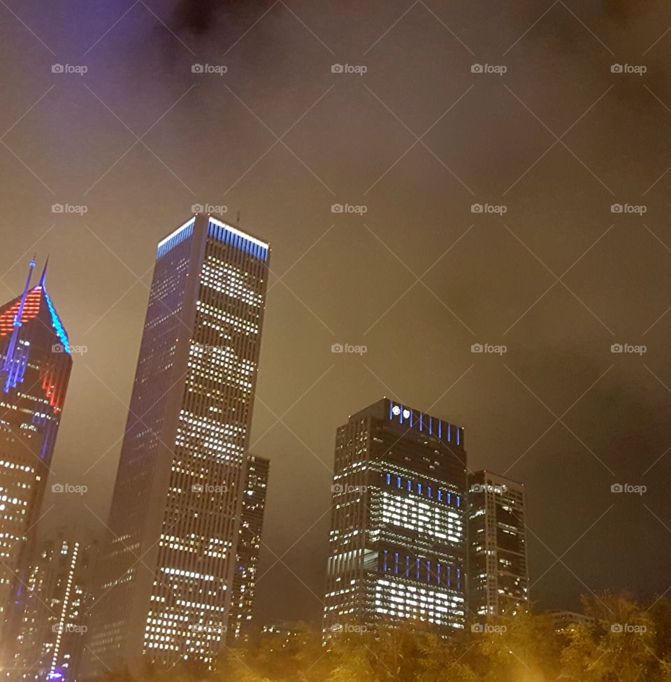 Cubs World Series Champions- Chicago Skyline