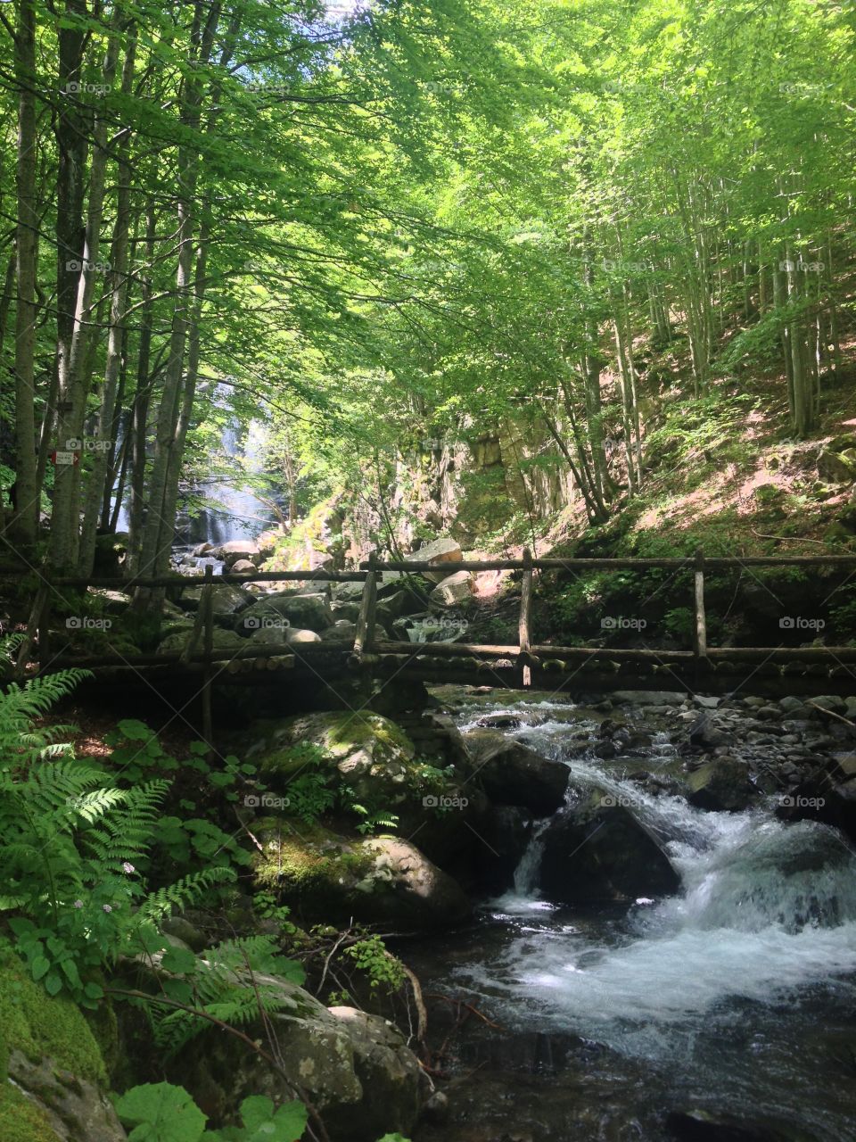 Waterfall in italian wood