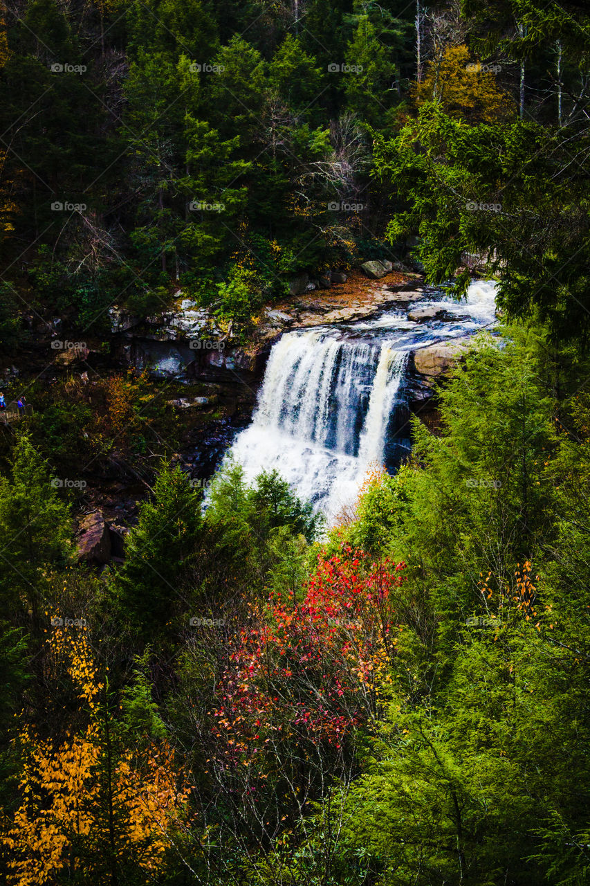 Waterfalls in Autumn 