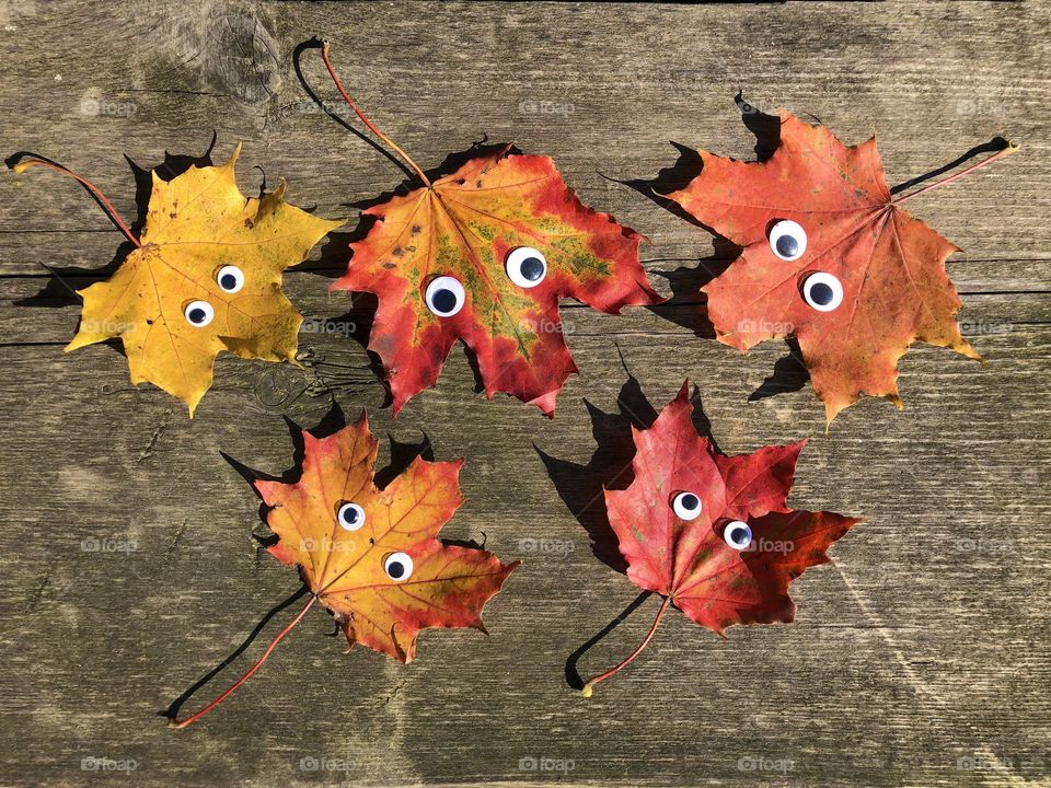 Funny leaves