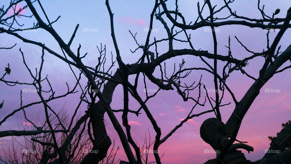 Fairytale ❤🌌🌙