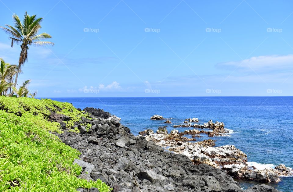 Walking along the sea cliffs on the east side of the Big Island of Hawaii