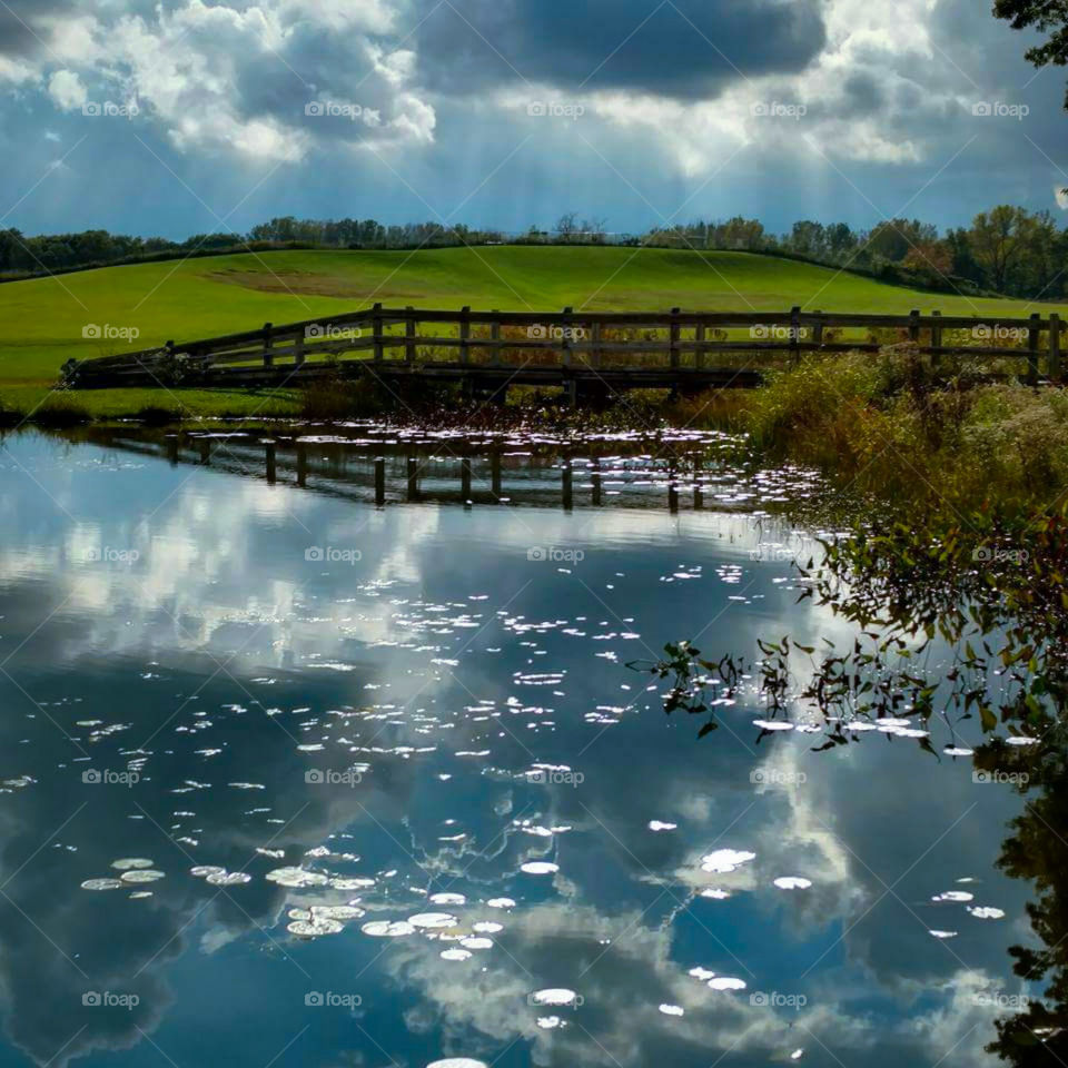 Beautiful Reflection