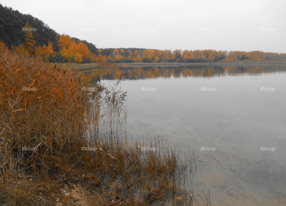 autumn lake