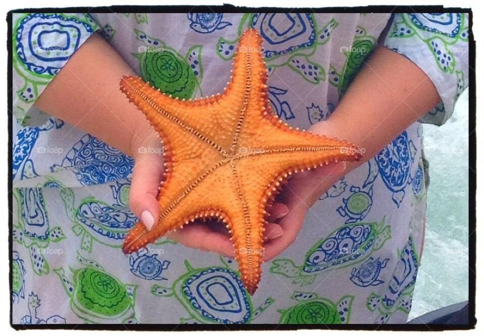 Starfish