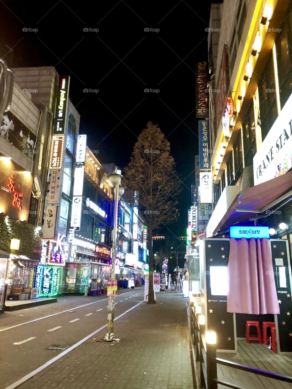 A rare quiet moment on a colorful, neon-lit, late night in Seoul. A little bit of nature peaks out in an otherwise fully developed, business filled commerce zone.