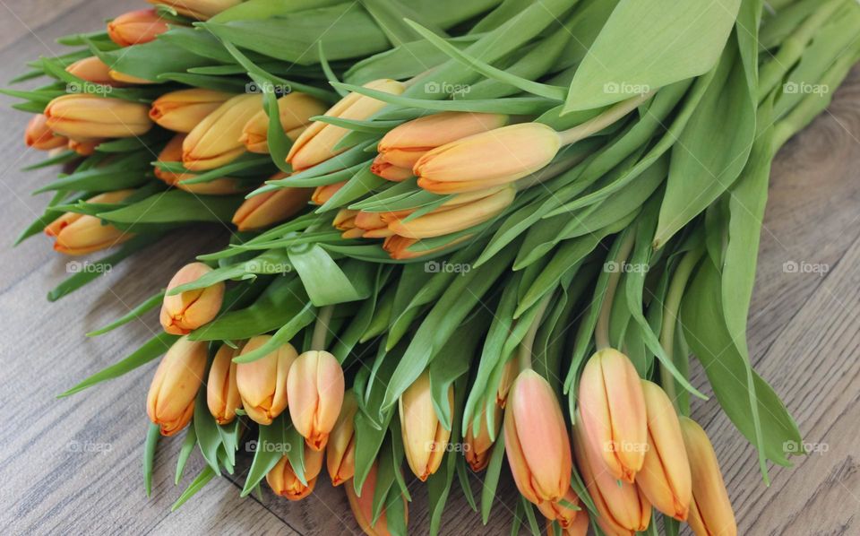 Bouquet of tulips