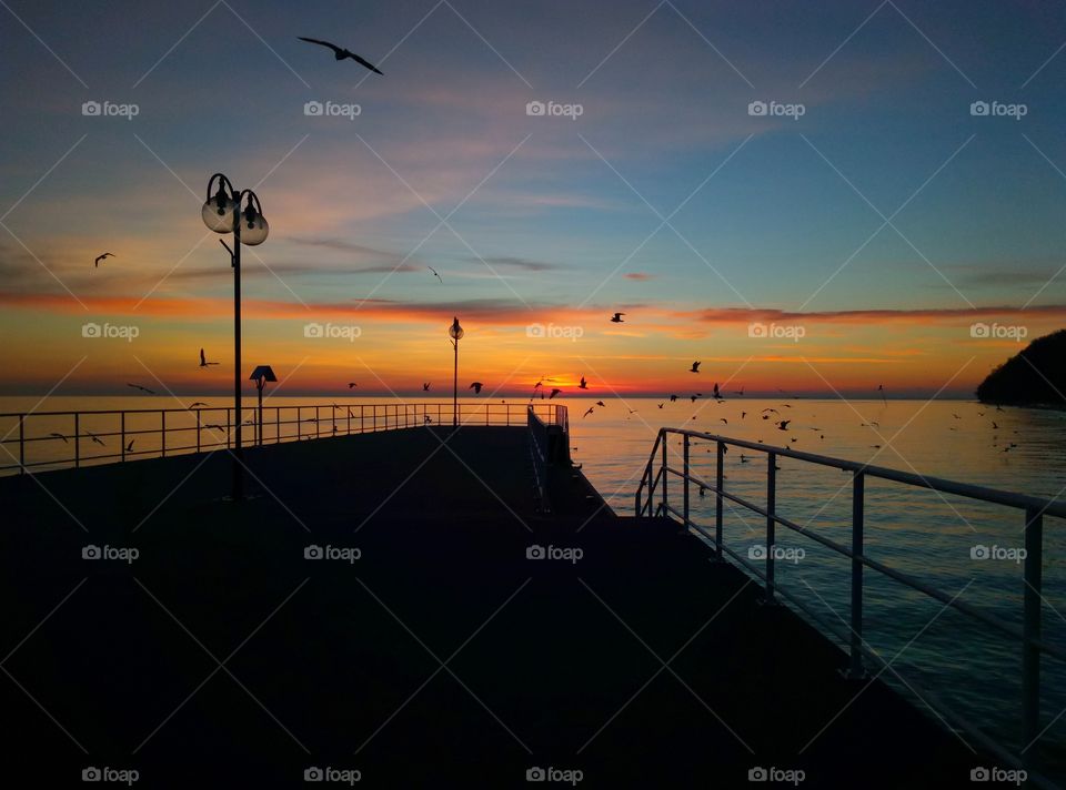 Sunset, Water, Dawn, Sea, Beach