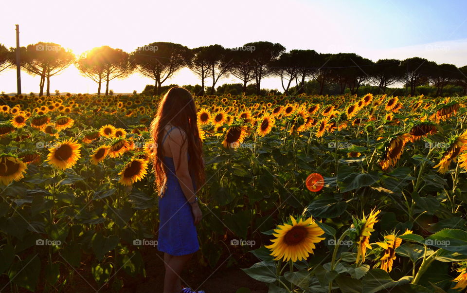 Sunflowers, sunset, a girl, relax 🌻