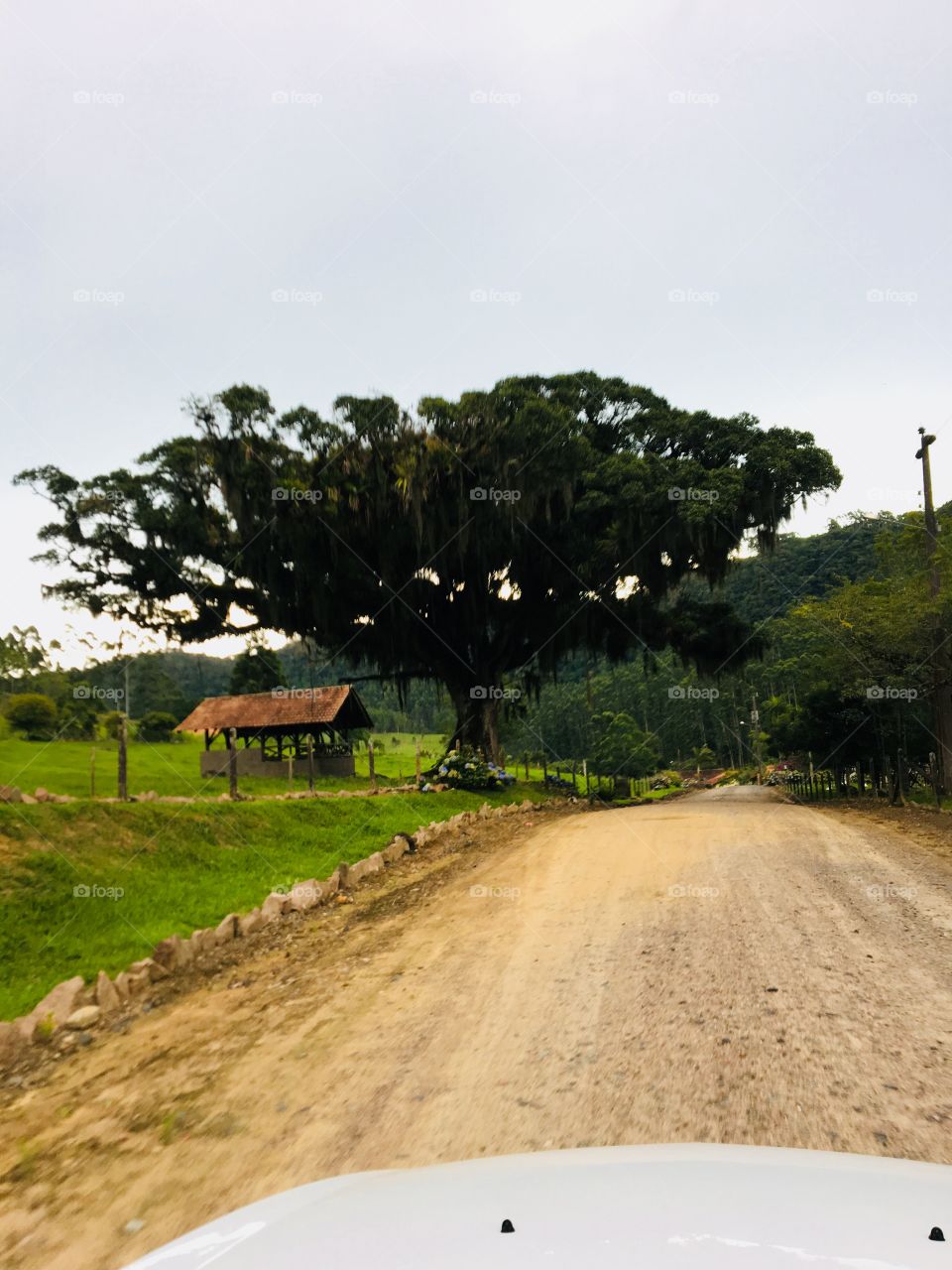Travis your fro yo but ask her should be good￼