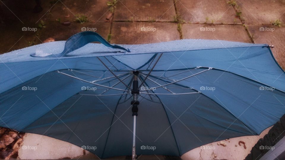 The Blue Umbrella.