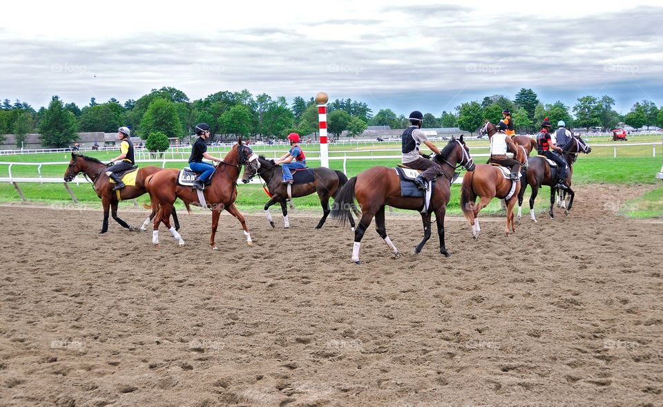 In Through the Outdoor. Turf training on the Oklahoma grass course at historic Saratoga with the nation's best fillies & colts. 
Fleetphoto