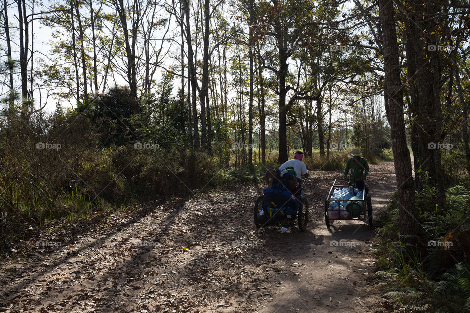 Man with cart in forest 