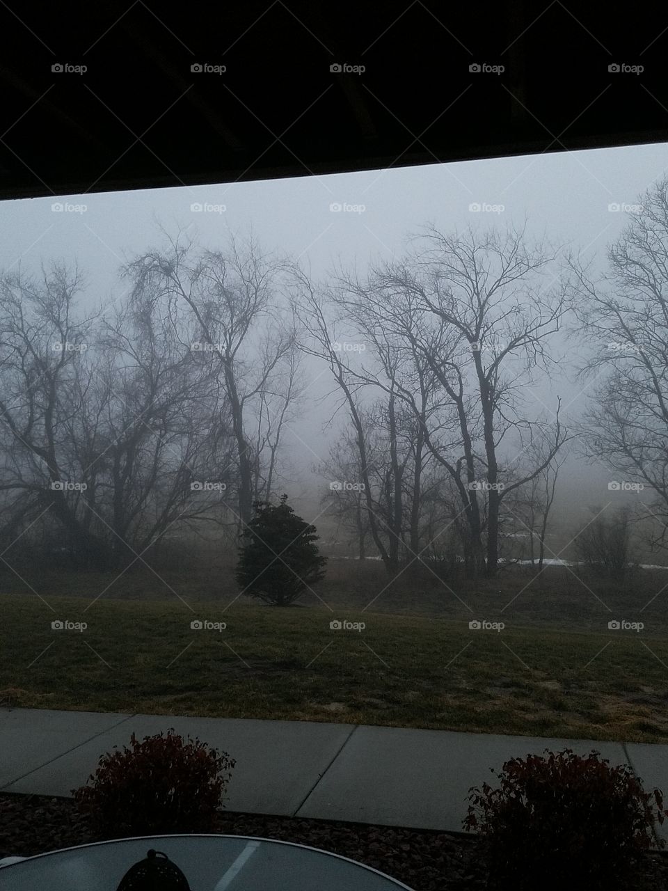 Foggy afternoon!