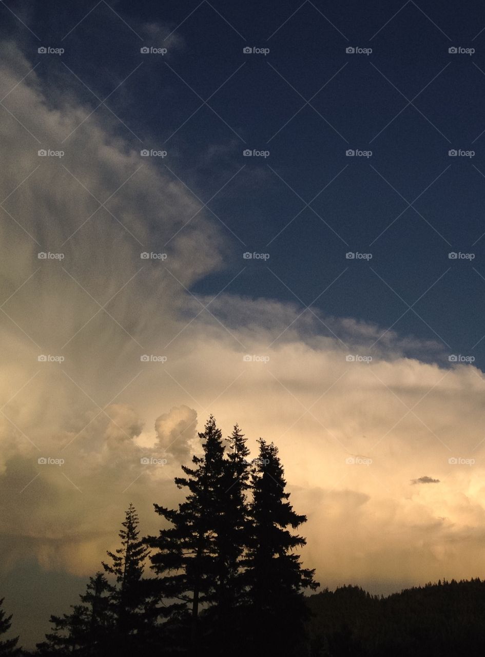 Forest Storm clouds 