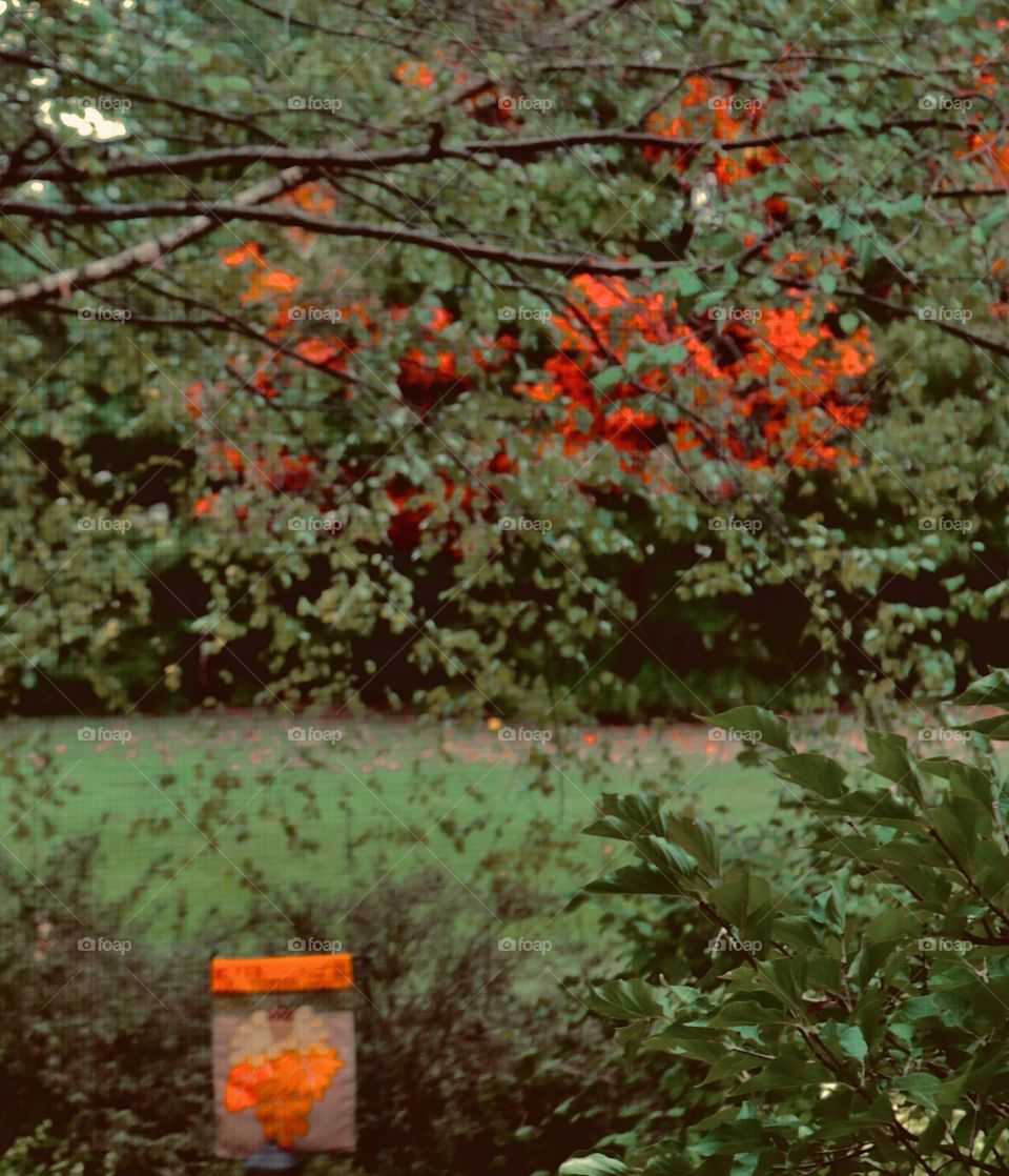 I’ve been meaning to tell you, I think your house is haunted. 