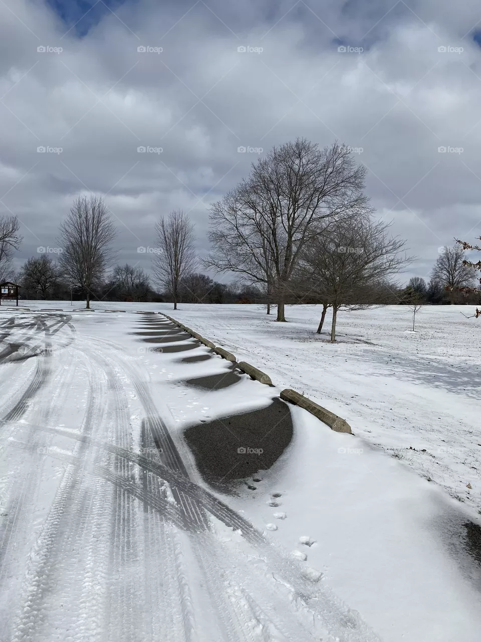 Winter wonderland 