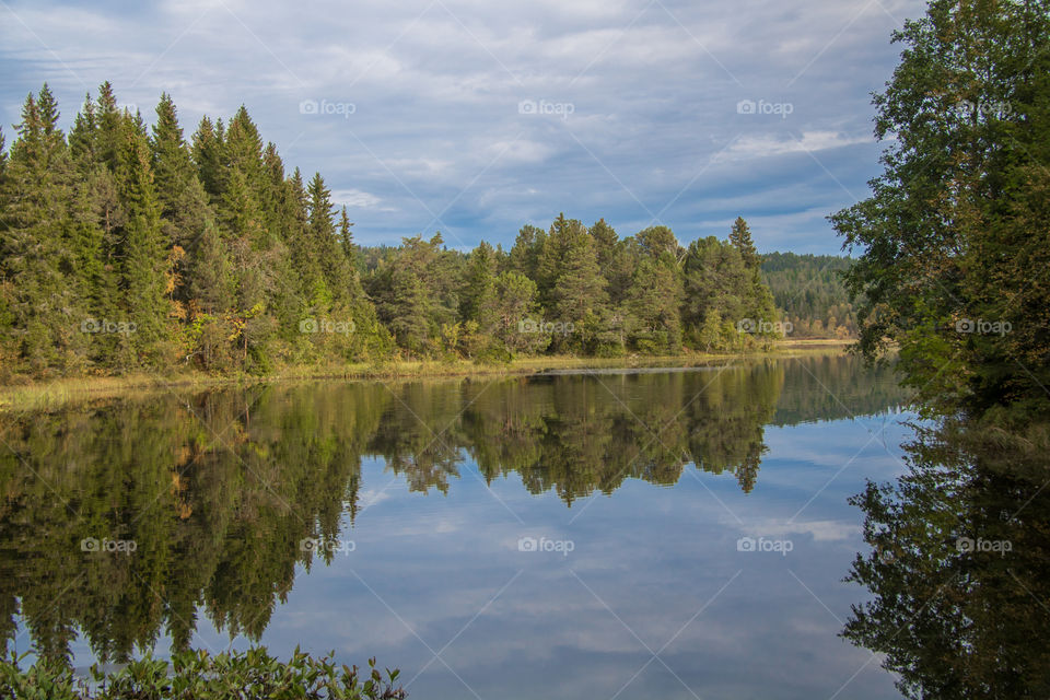 Lake reflections 