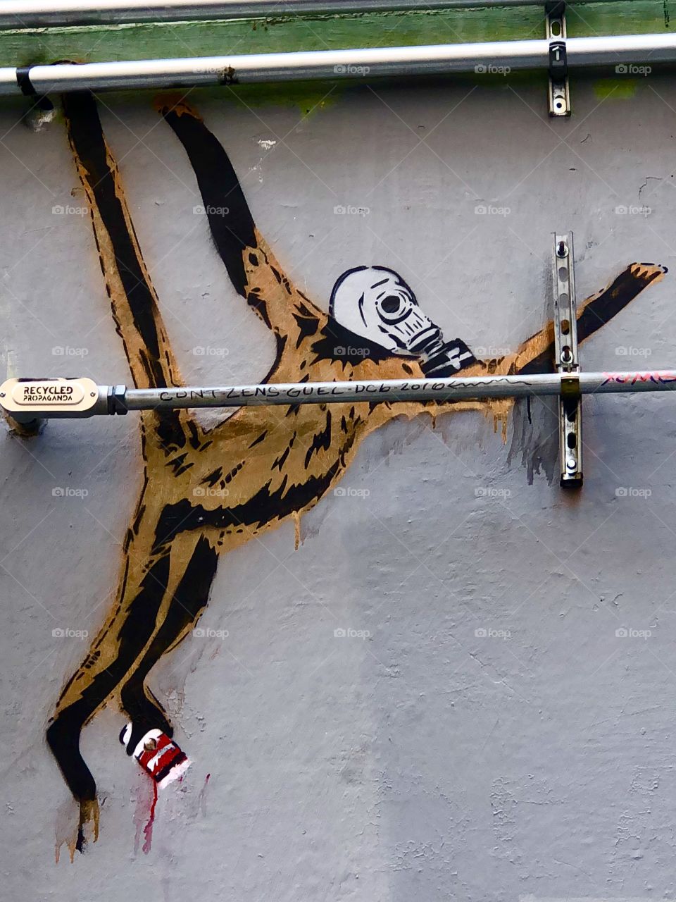 Wall Graphics - Skull Monkey