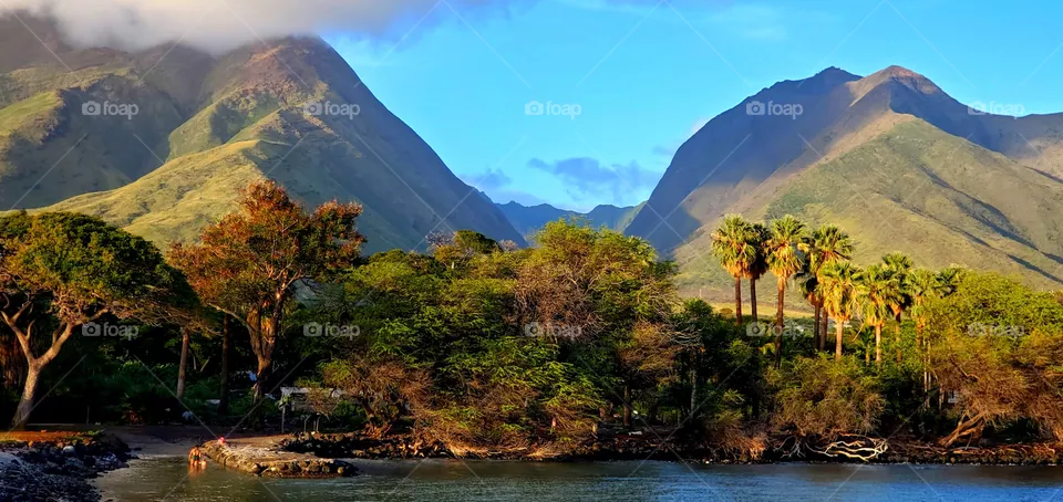 Island
