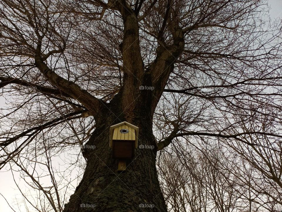 birdhouse
