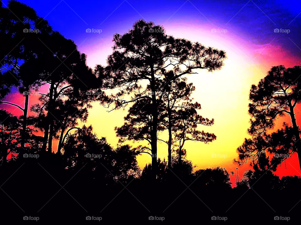 Colors