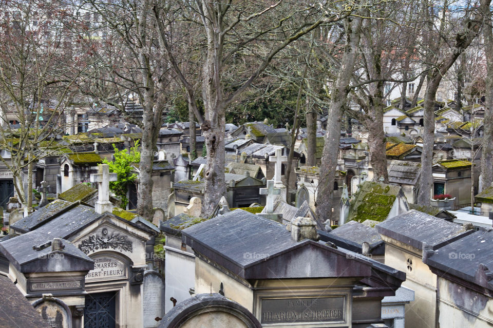 graveyard in the cemetery in paris