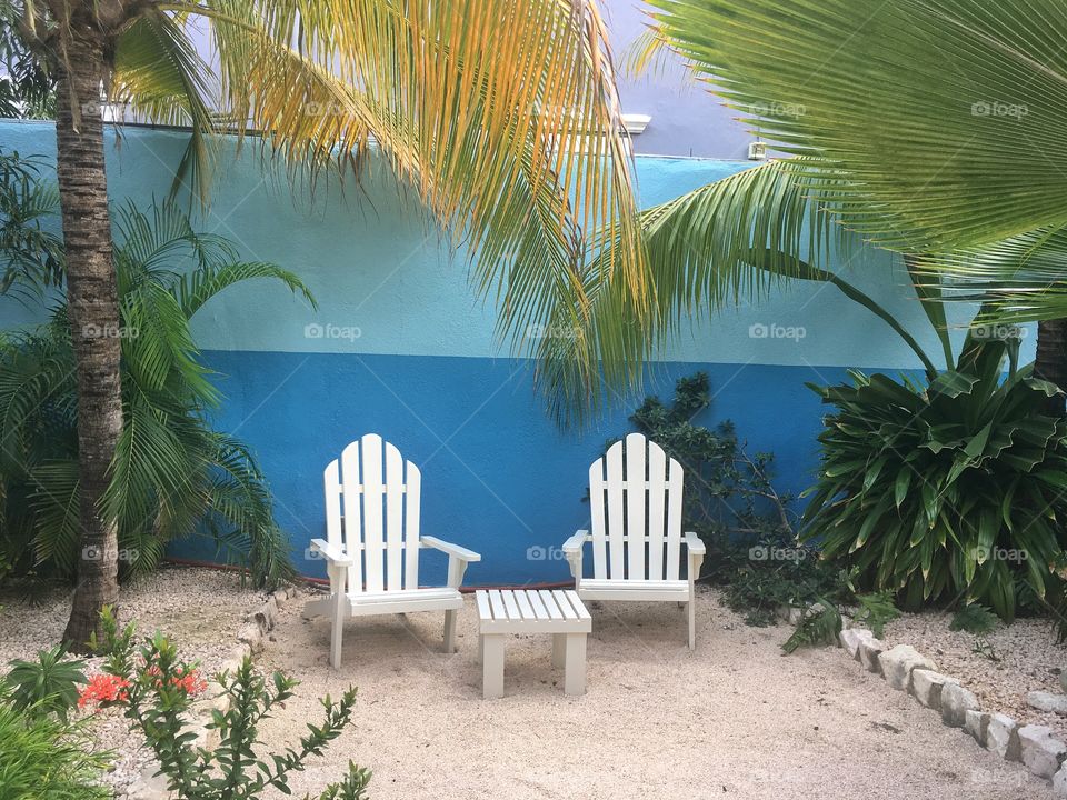 Two chairs under the palm tree