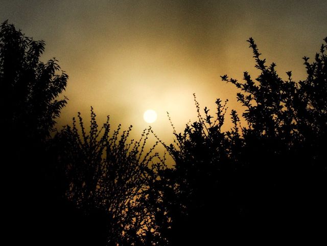 Be A Light Unto The Darkness