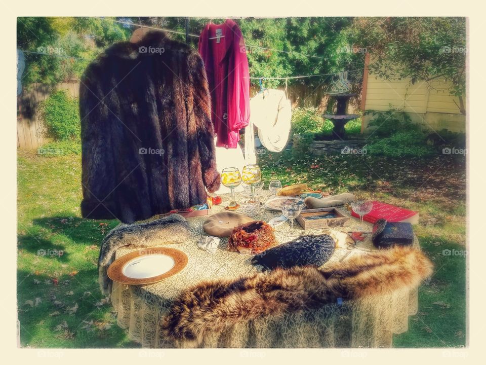 Nature, Summer, Grass, Tree, Outdoors