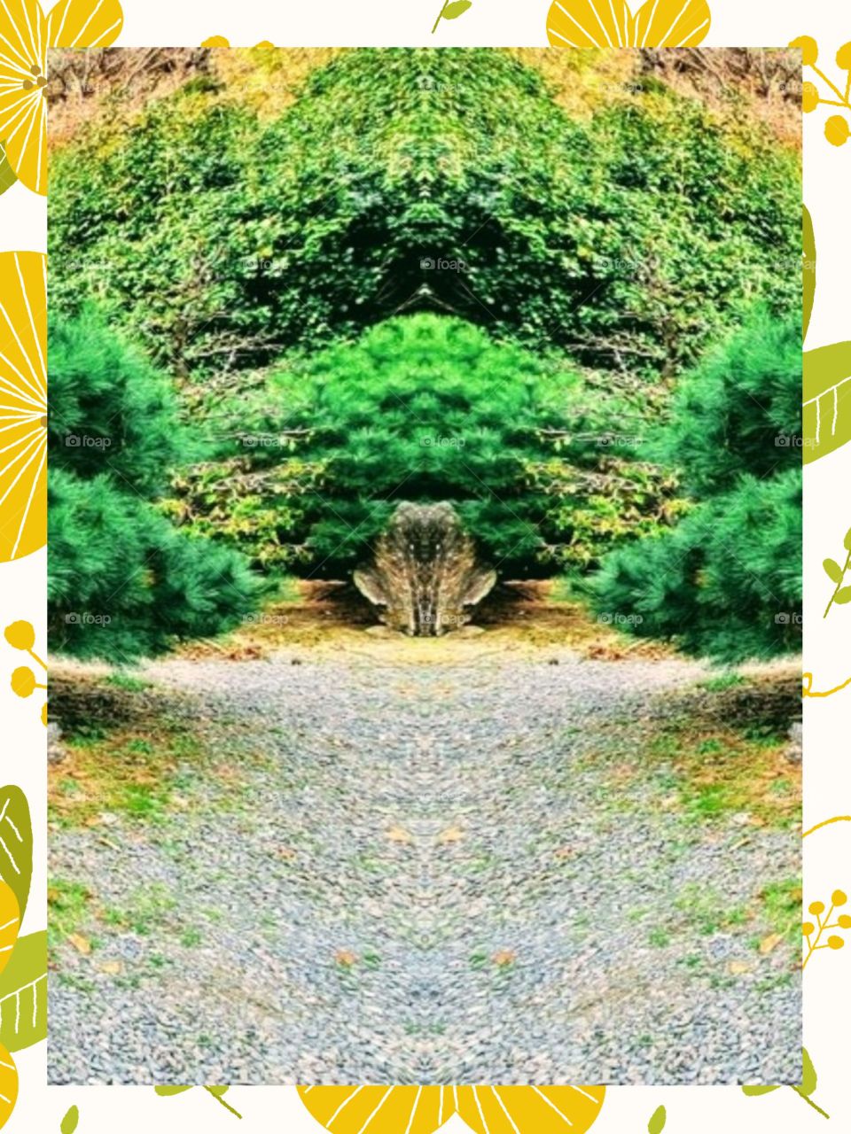 THe natures beauty in south korea.