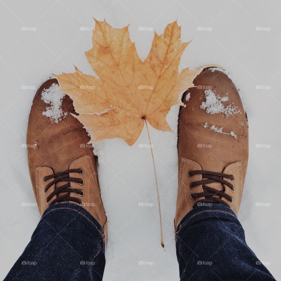 the last leaf on the snow