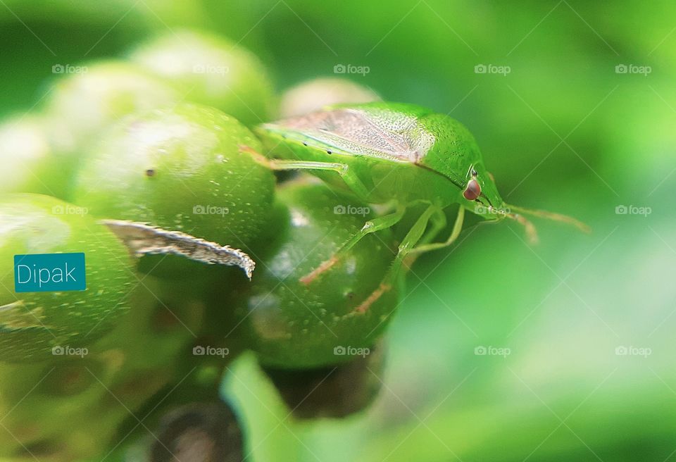 Wildlife photography Photos