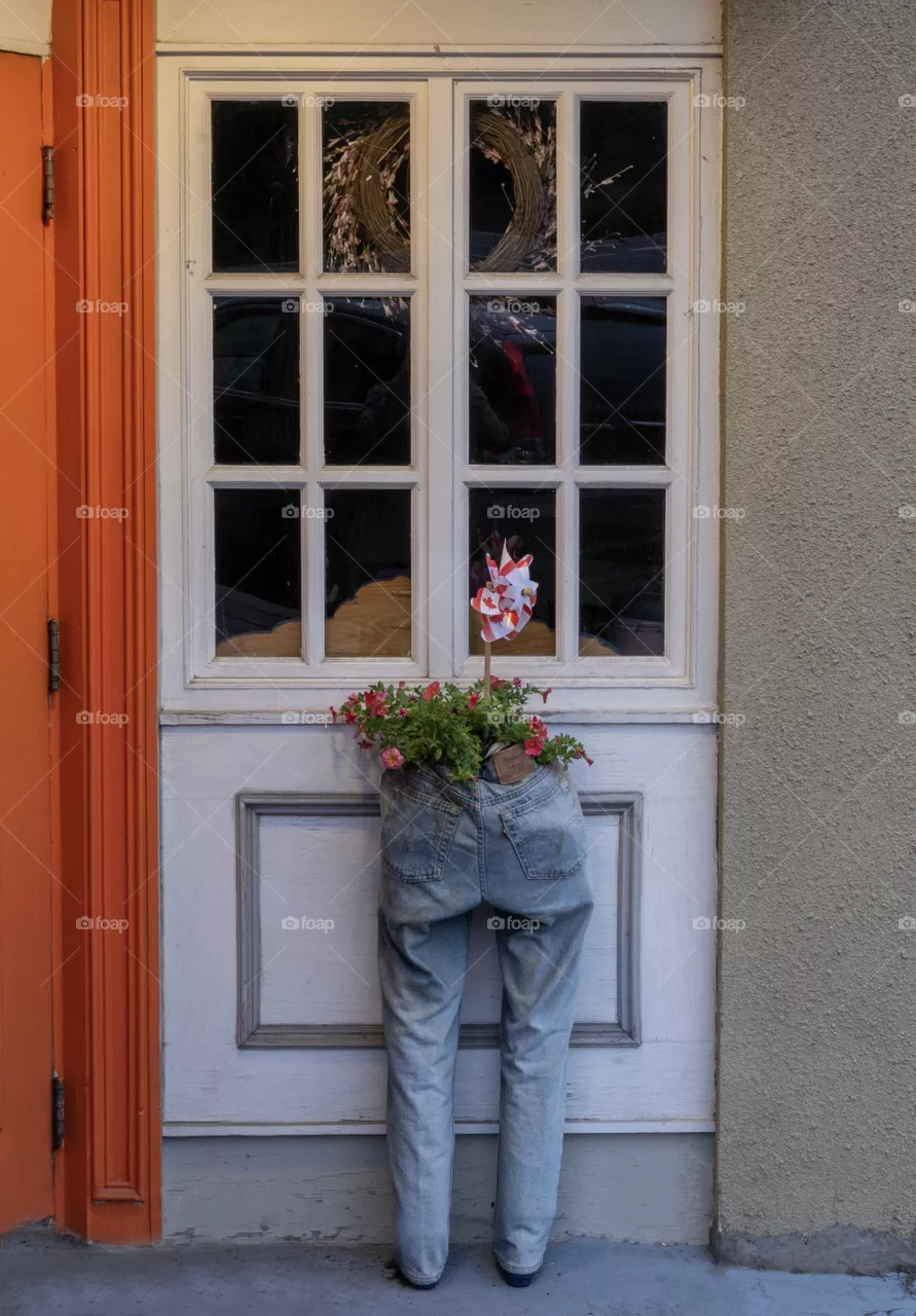 Funny decor 