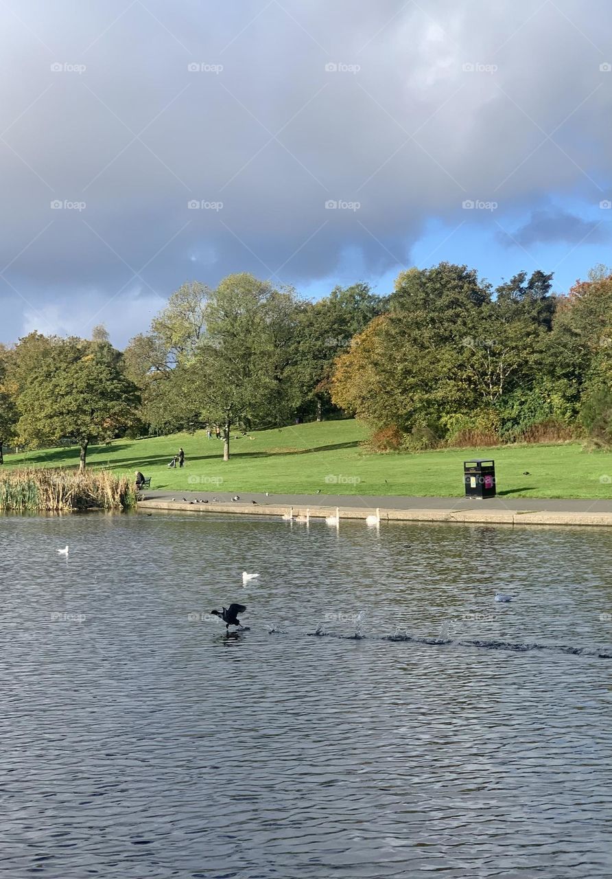 Autumn season in the park