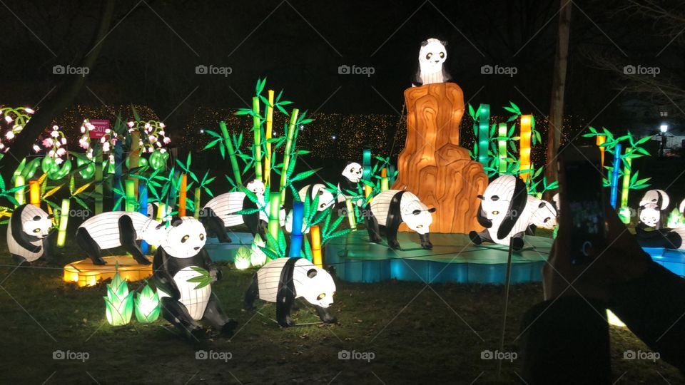 Pandas at the lantern festival