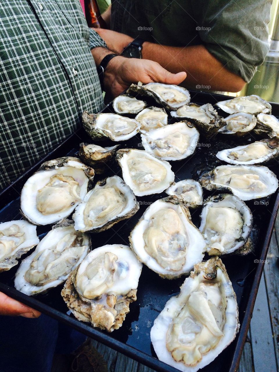 Oysters on the Half Shell