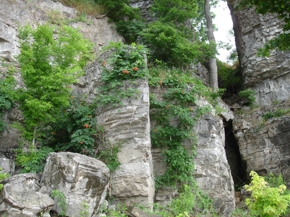 Rock Cave