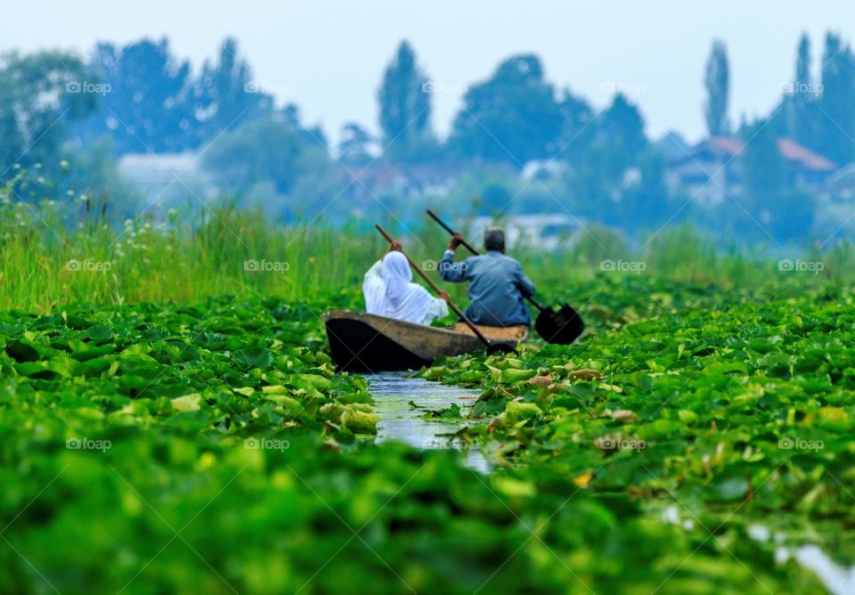 let's row back home together