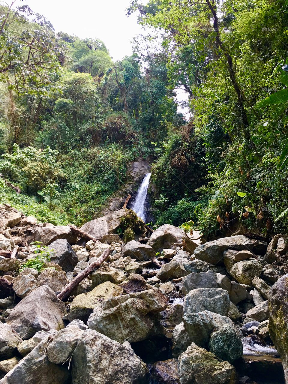 Los Julianes Waterfall, Santa María de Dota, Costa Rica 