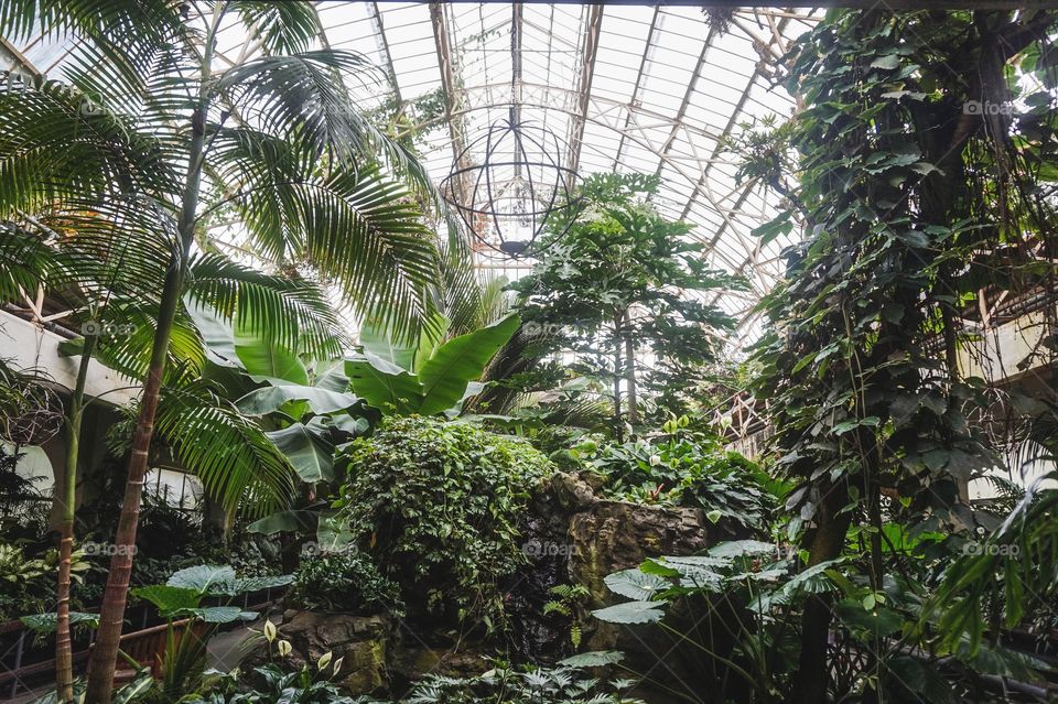 Christchurch Botanic Gardens Conservatory, New Zealand 