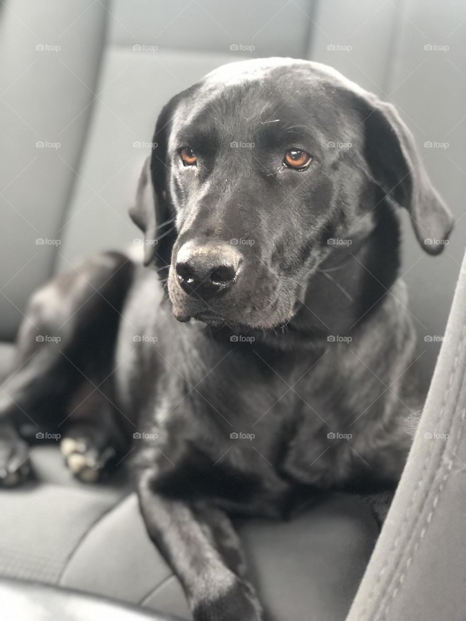 “I think you just ran over a squirrel.”