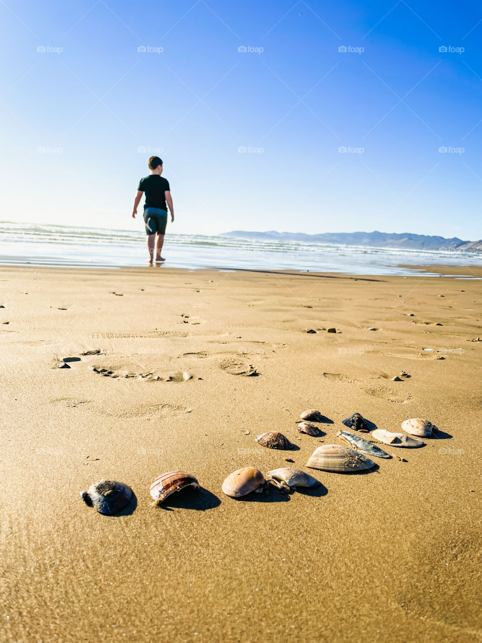 Collecting sea shells at the beach 