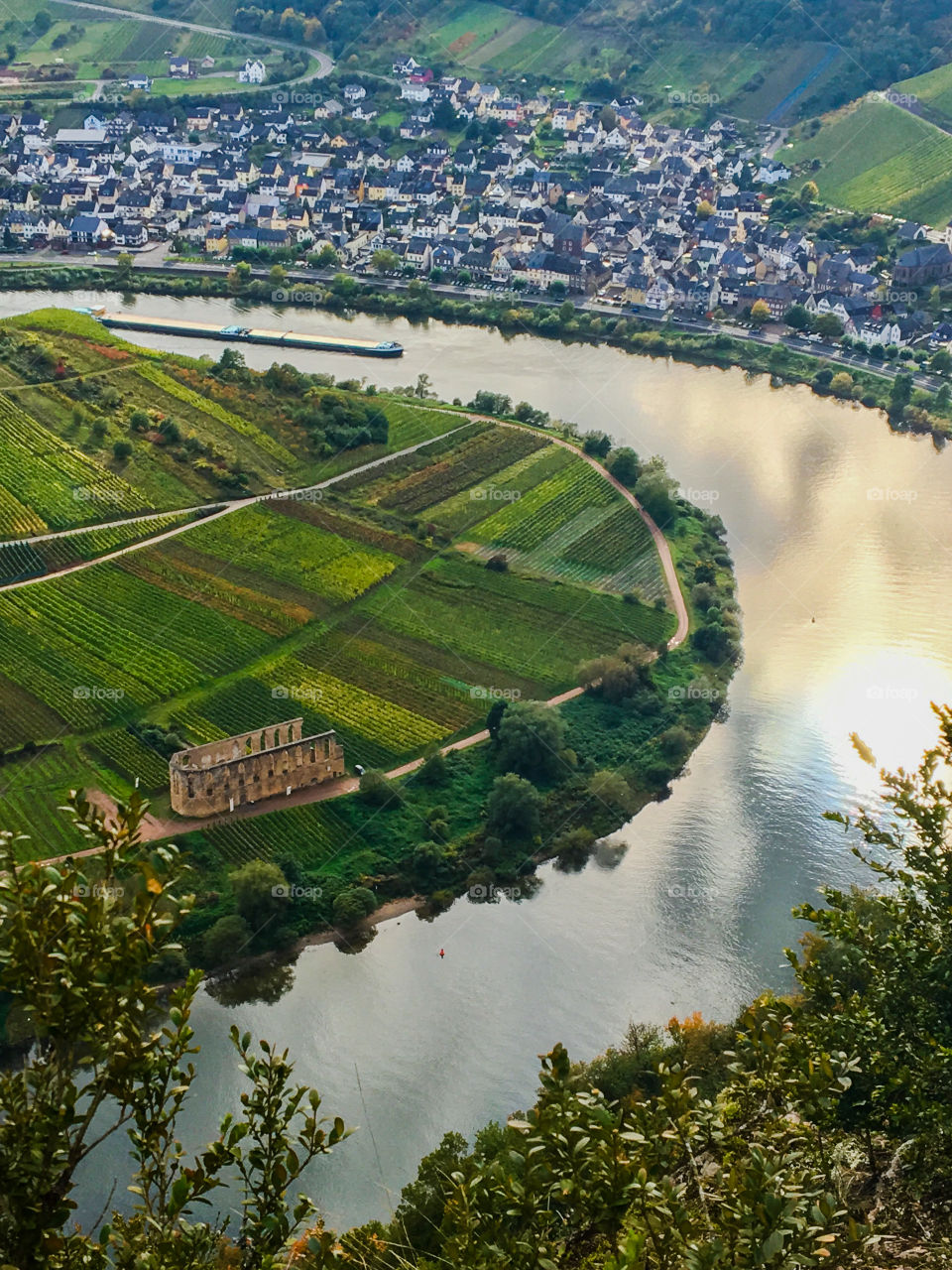 Moselle Vineyards Landscape 