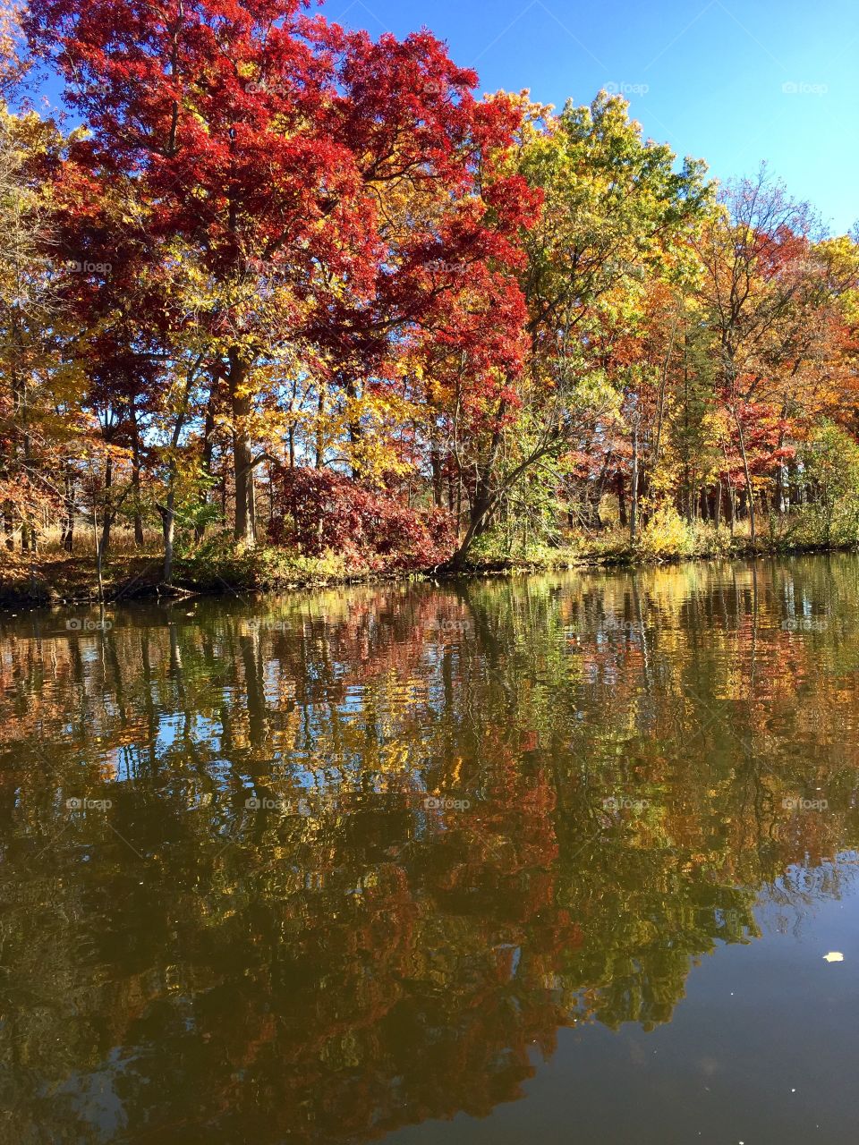 Fall kayaking . Ann Arbor Michigan 