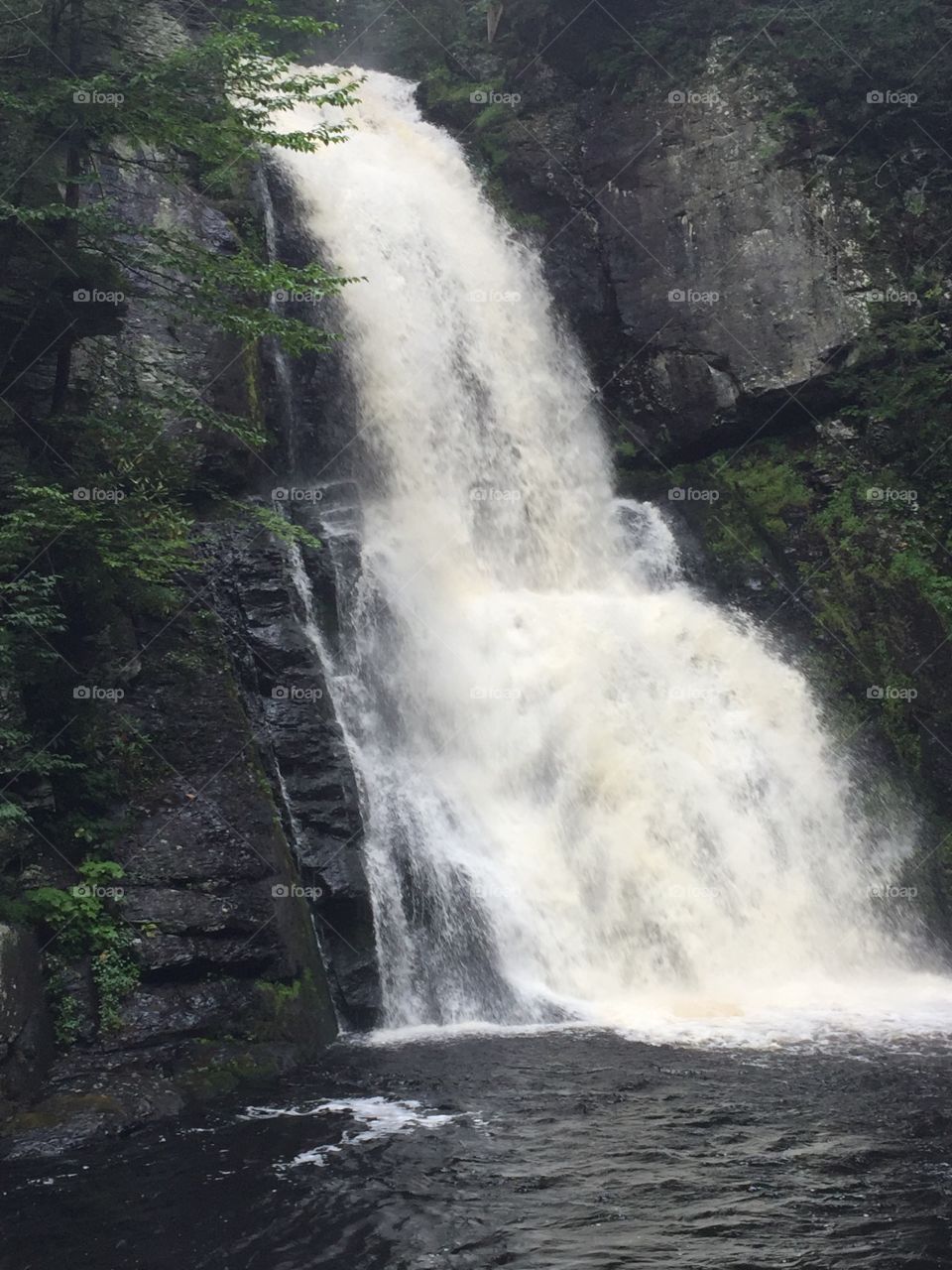 Bushkill Falls Water Fall